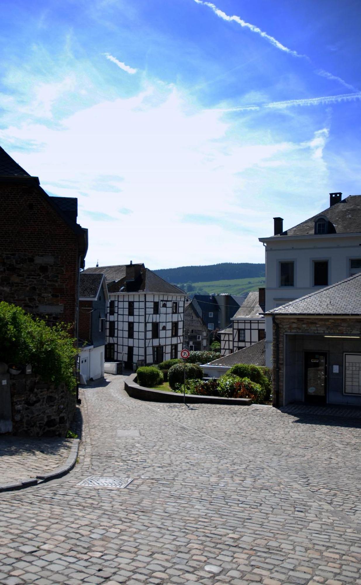 Hottonruy 4 Villa Stavelot Buitenkant foto